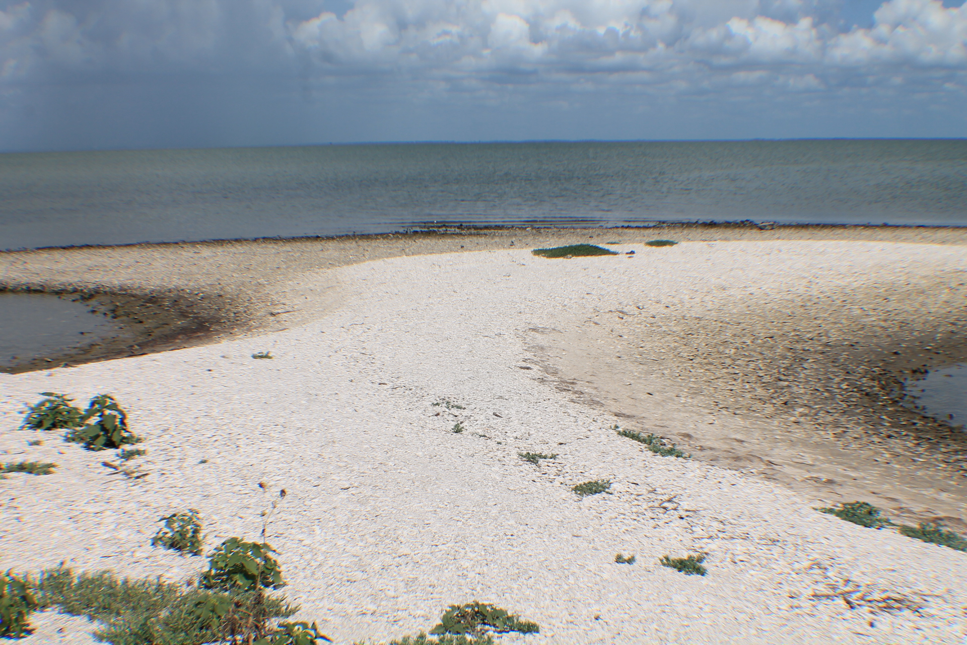 Copano Bay midden