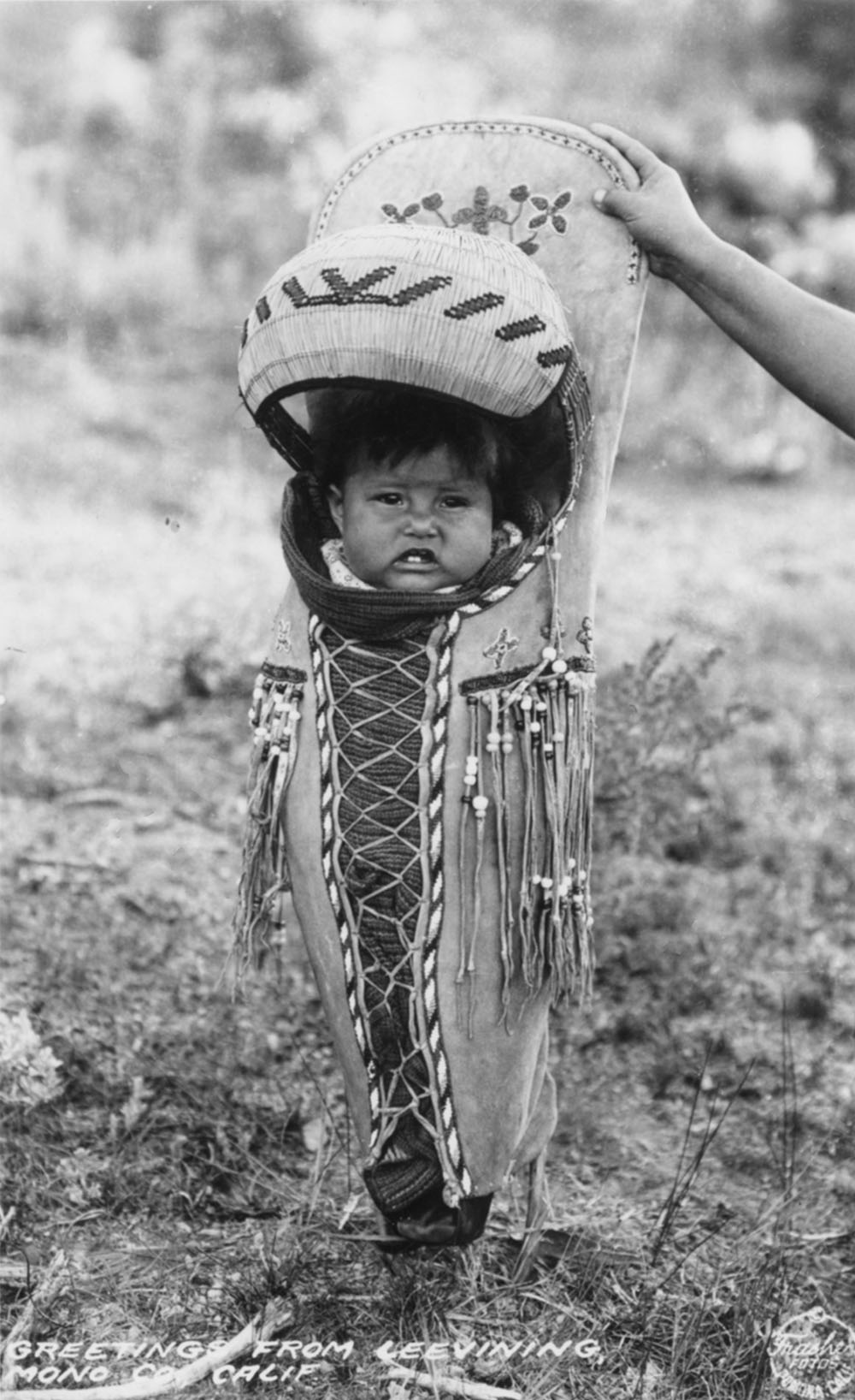 casa diablo indian papoose